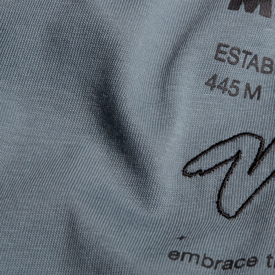 camiseta mammut core masculina vert strata