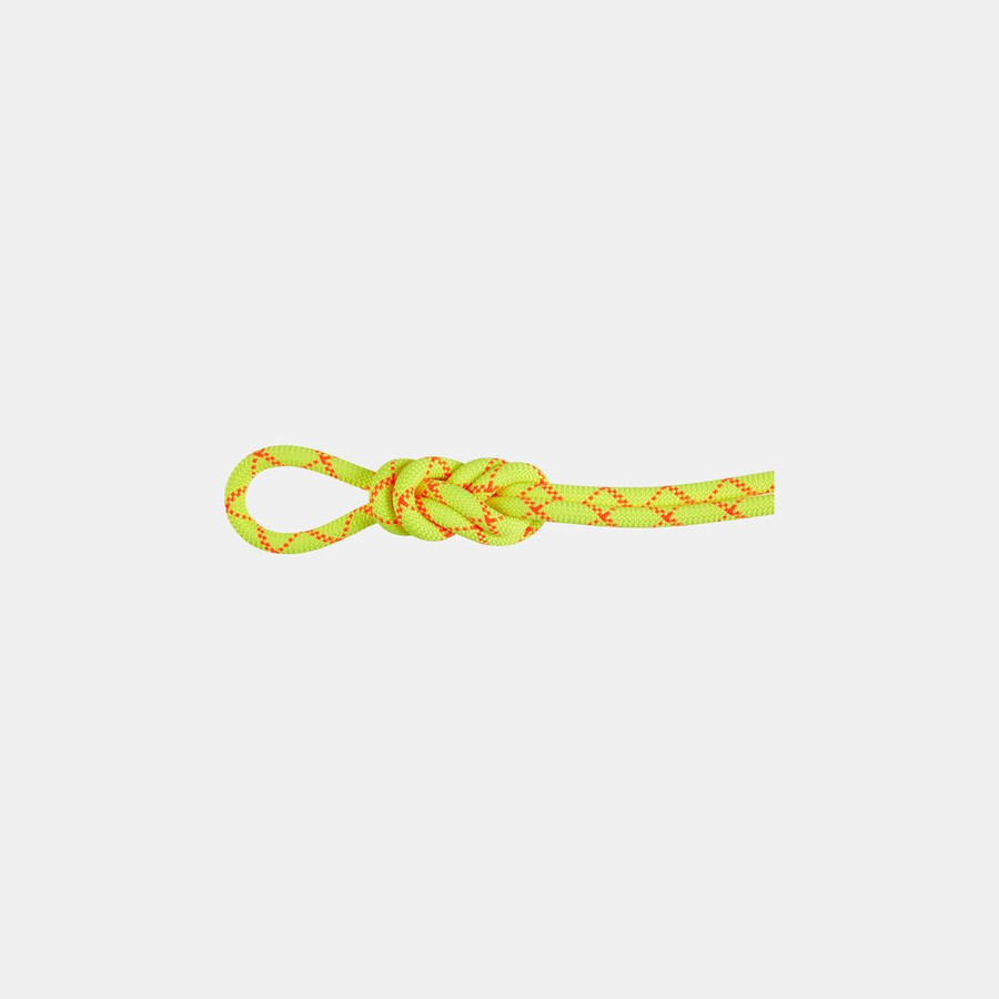 corda alpine core protect dry 9.5m