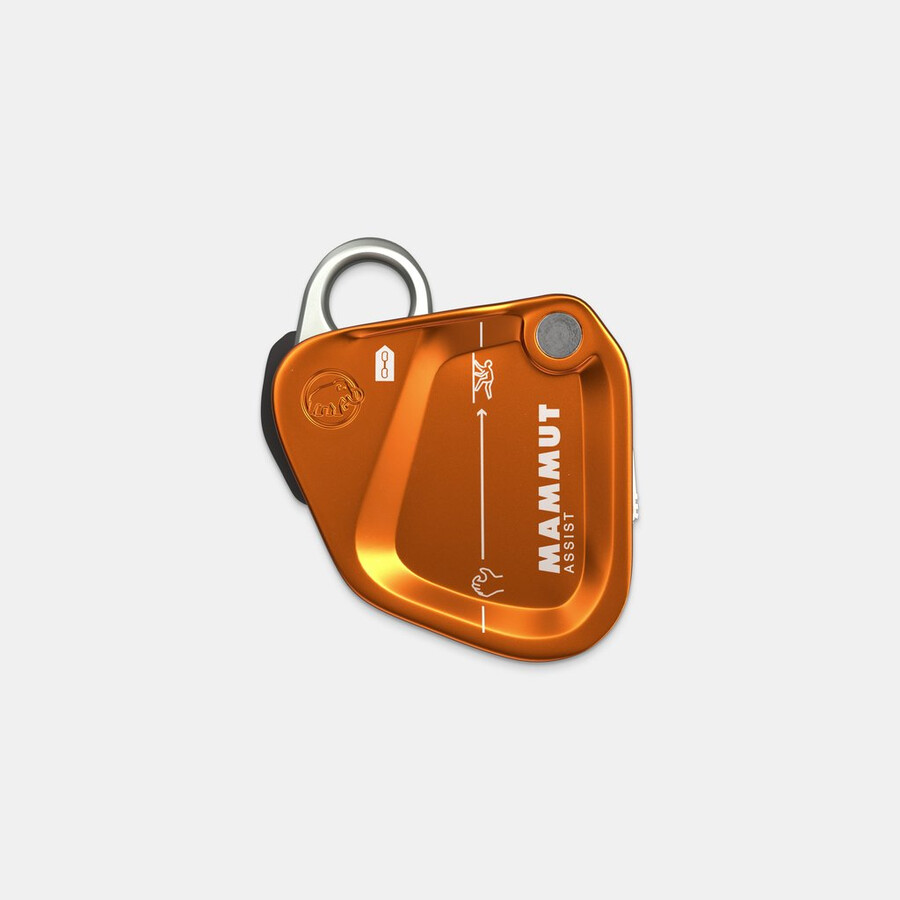 mammut assist belay resistor gold