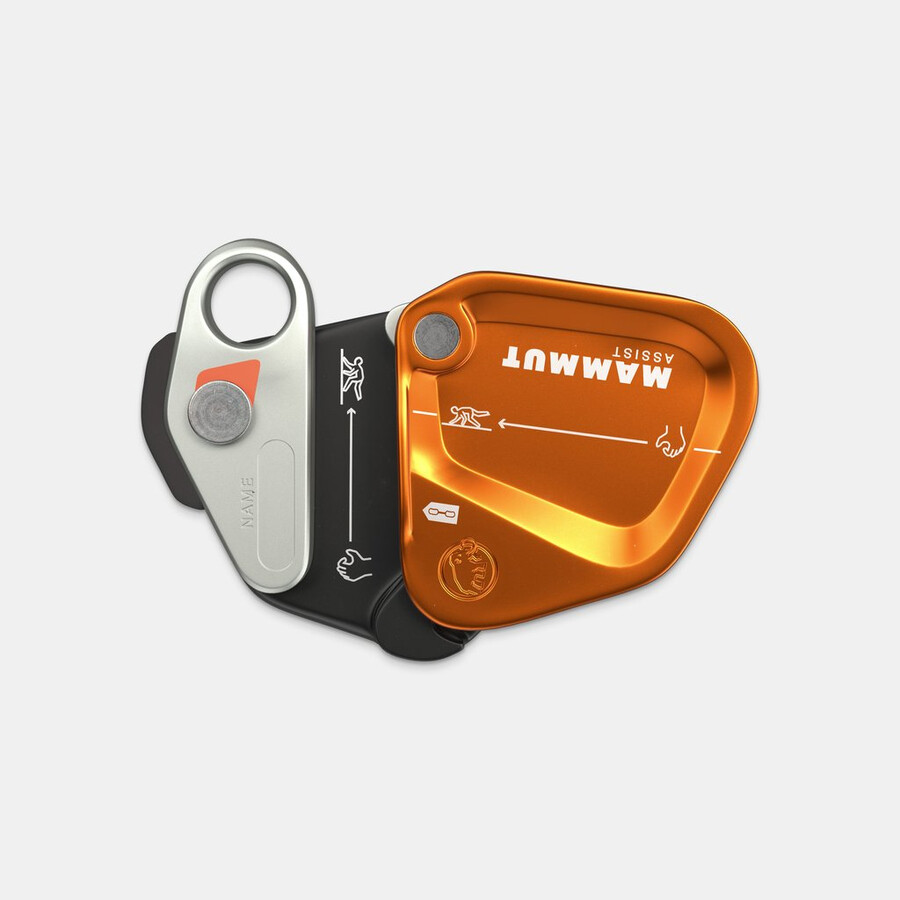 mammut assist belay resistor gold